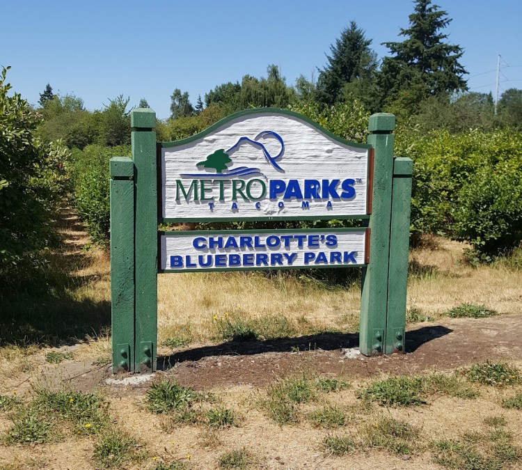 charlottes-blueberry-park-photo